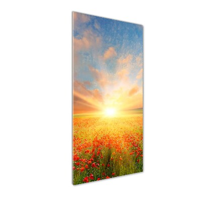 Staand foto in plexiglas Klaprozenveld