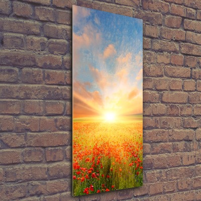 Staand foto in plexiglas Klaprozenveld