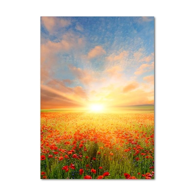 Staand foto in plexiglas Klaprozenveld