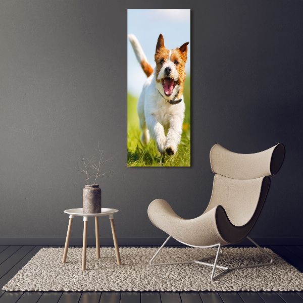 Staand plexiglas foto Jack Russell hond