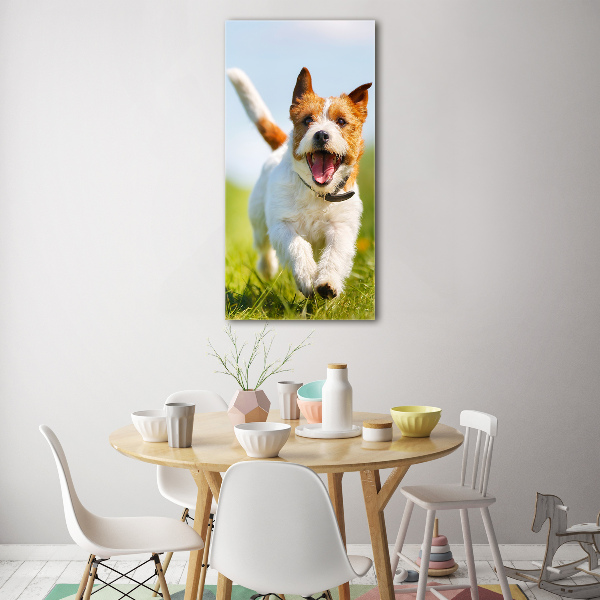 Staand plexiglas foto Jack Russell hond