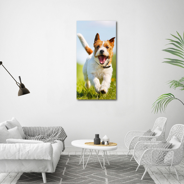 Staand plexiglas foto Jack Russell hond