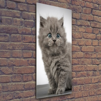 Staand foto in plexiglas Grijze Britse kat