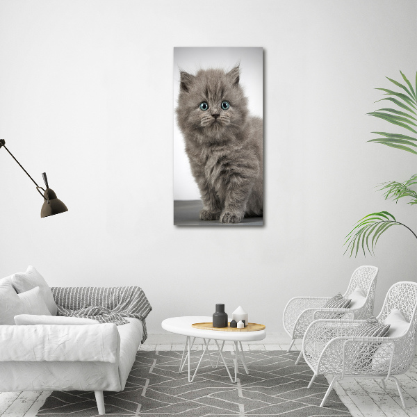 Staand foto in plexiglas Grijze Britse kat