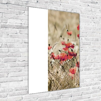 Staand plexiglas foto Wilde bloemen