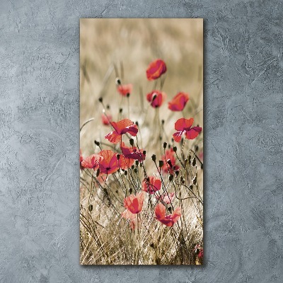 Staand plexiglas foto Wilde bloemen