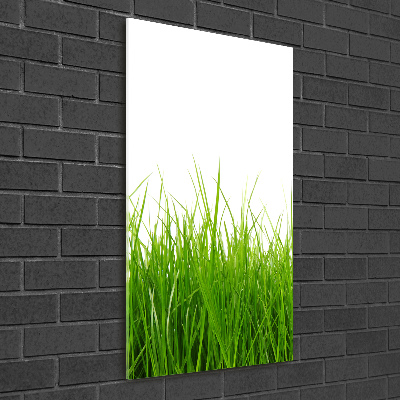 Staand foto plexiglas Groen gras