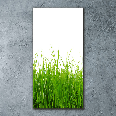 Staand foto plexiglas Groen gras