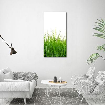 Staand foto plexiglas Groen gras