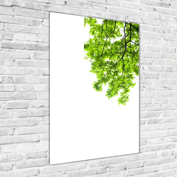 Staand foto in plexiglas Boomkroon