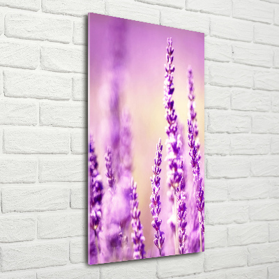 Staand foto plexiglas Lavendel