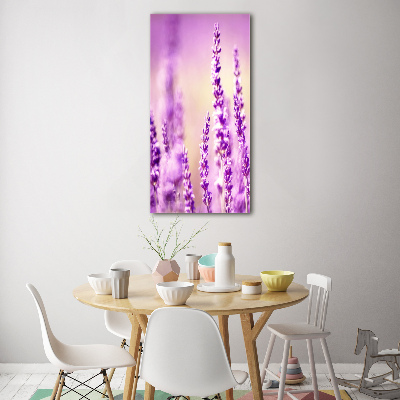 Staand foto plexiglas Lavendel