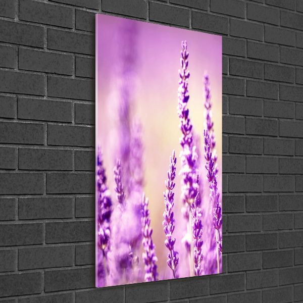 Staand foto plexiglas Lavendel