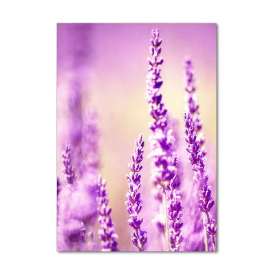 Staand foto plexiglas Lavendel