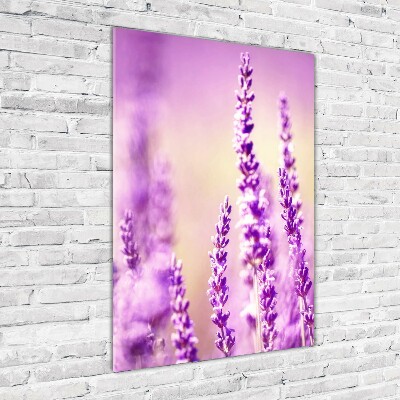 Staand foto plexiglas Lavendel
