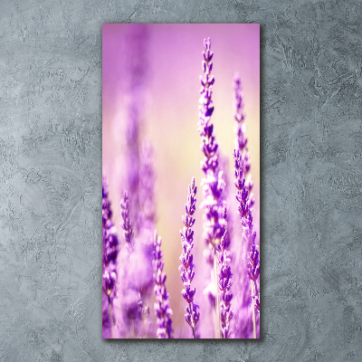 Staand foto plexiglas Lavendel