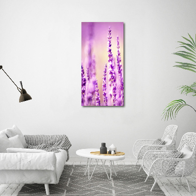 Staand foto plexiglas Lavendel