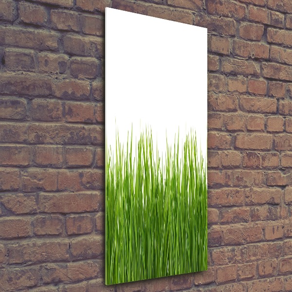 Staand foto op plexiglas Groen gras