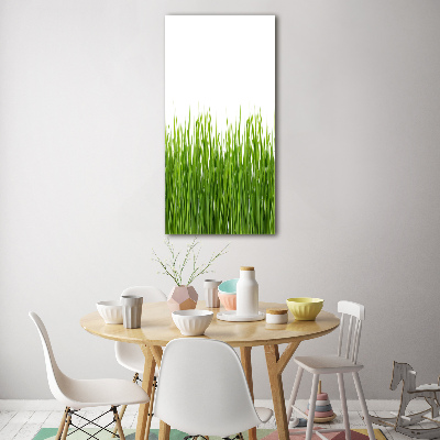 Staand foto op plexiglas Groen gras