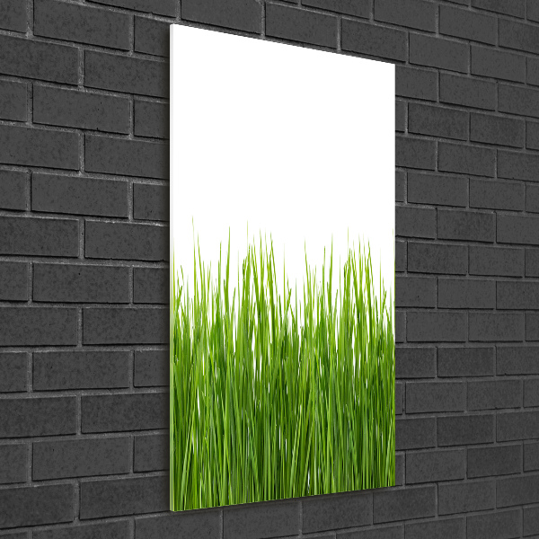Staand foto op plexiglas Groen gras