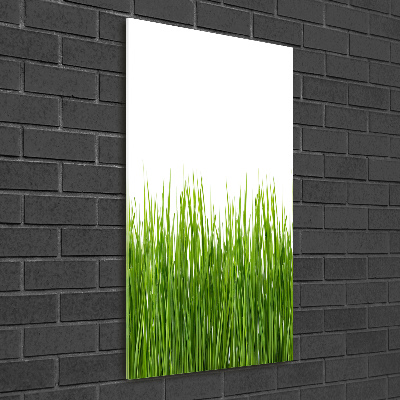 Staand foto op plexiglas Groen gras