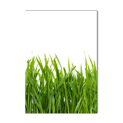 Staand foto op plexiglas Groen gras