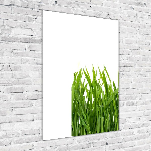 Staand foto op plexiglas Groen gras
