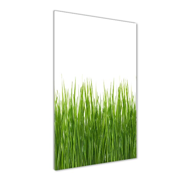 Staand foto op plexiglas Groen gras