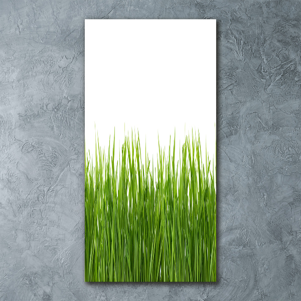 Staand foto op plexiglas Groen gras