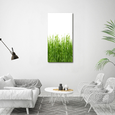 Staand foto op plexiglas Groen gras
