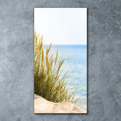 Staand foto in plexiglas duinen aan zee