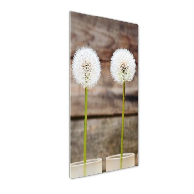 Staand plexiglas foto Paardenbloemen