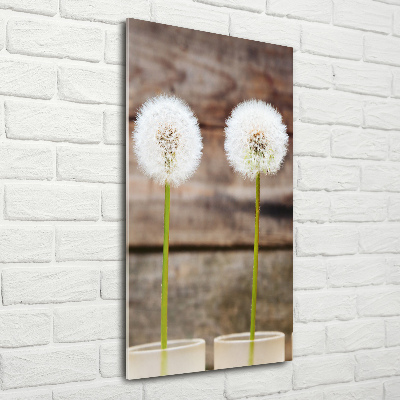 Staand plexiglas foto Paardenbloemen