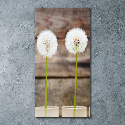 Staand plexiglas foto Paardenbloemen