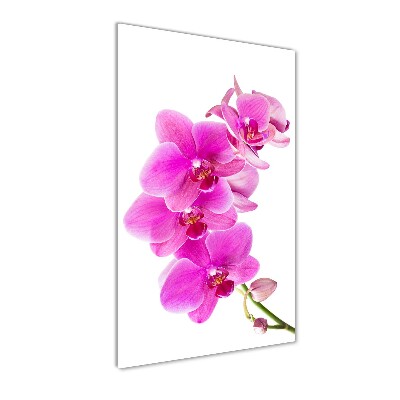 Staand foto plexiglas Roze orchidee