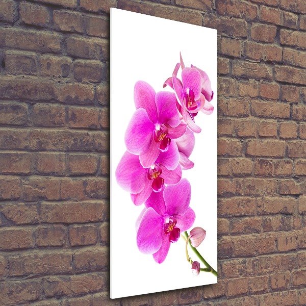 Staand foto plexiglas Roze orchidee