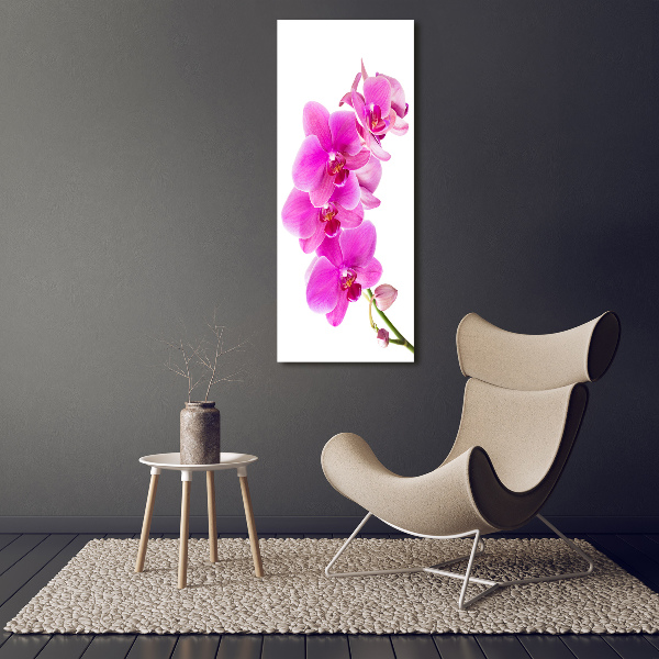 Staand foto plexiglas Roze orchidee