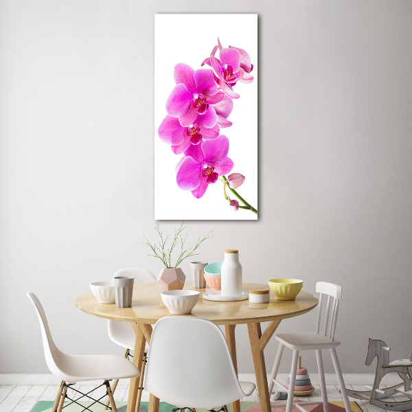 Staand foto plexiglas Roze orchidee