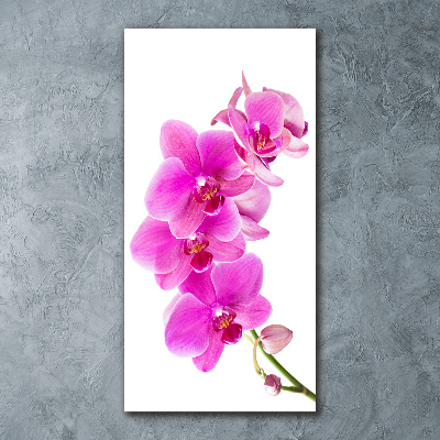 Staand foto plexiglas Roze orchidee
