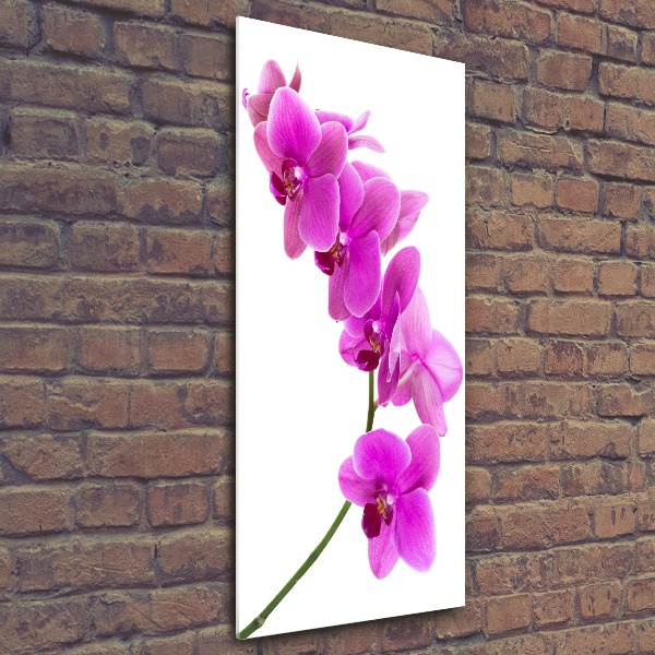Staand foto in plexiglas Roze orchidee