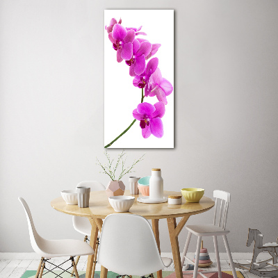 Staand foto in plexiglas Roze orchidee