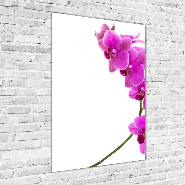 Staand foto in plexiglas Roze orchidee