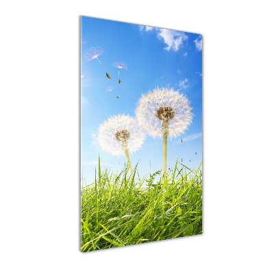 Staand foto op plexiglas Paardenbloemen in de wei