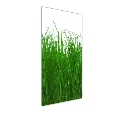 Staand plexiglas foto Gras