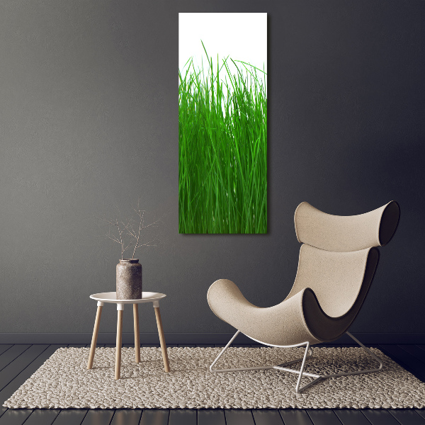 Staand plexiglas foto Gras