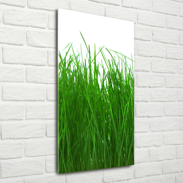 Staand plexiglas foto Gras