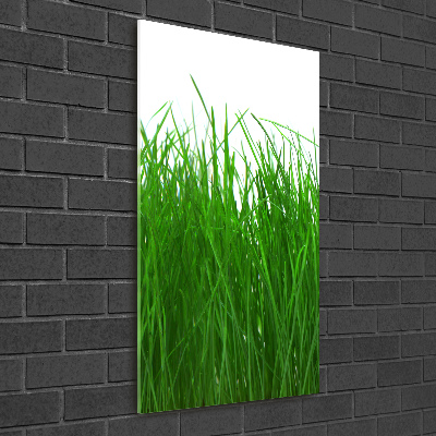 Staand plexiglas foto Gras