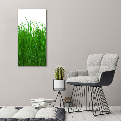 Staand plexiglas foto Gras