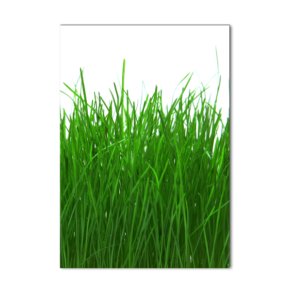 Staand plexiglas foto Gras
