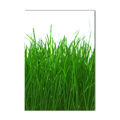 Staand plexiglas foto Gras